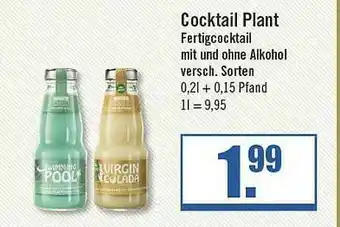 Zisch Cocktail Plant Fertigcocktail Mit Und Ohne Alkohol Angebot