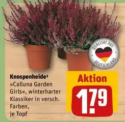 REWE Knospenheide Angebot
