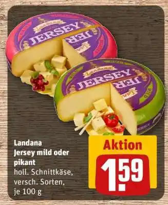 REWE Landana Jersey mild oder pikant Angebot