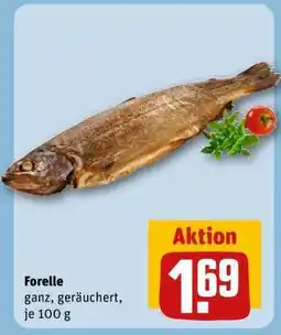REWE Forelle Angebot