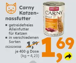 Globus Baumarkt Carny Katzennassfutter Angebot
