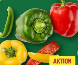 Aldi Nord Paprika Mix Angebot