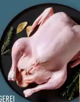Aldi Nord Meine Metzgerei Junge Ente Angebot