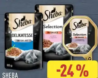 Aldi Nord Sheba Feuchtfutter Angebot