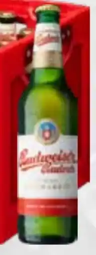 trinkgut Budweiser Budvar (CZ) Premium Lager Angebot