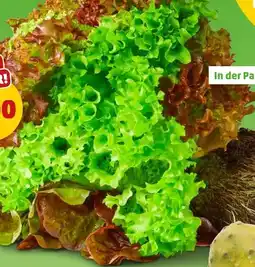 PENNY Marktliebe Regional Bunte Salate Angebot