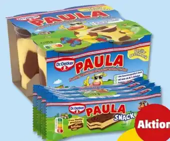 PENNY Dr. Oetker Paula Pudding Angebot