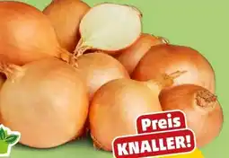 PENNY Marktliebe Zwiebeln Angebot
