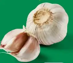 Lidl Bio Knoblauch Angebot