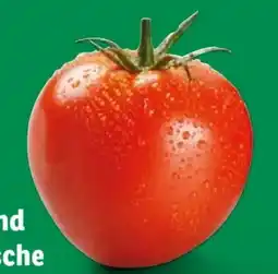 Lidl Bio Strauchtomaten Angebot