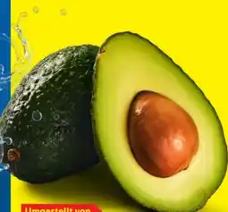 Lidl Bio-Avocados Angebot