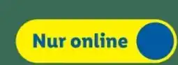 Lidl Action 31 Angebot