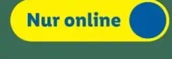 Lidl Action 33 Angebot
