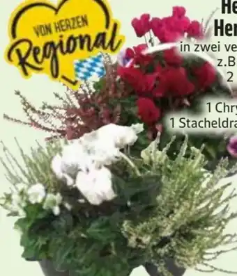 Edeka Heidegarten Angebot