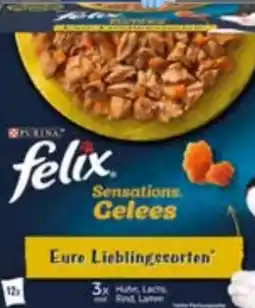 Edeka Purina Felix Katzennahrung Angebot