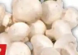 Edeka Gut & Günstig Frische Champignons Angebot
