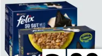 Edeka Xpress Purina Felix Katzennahrung Angebot