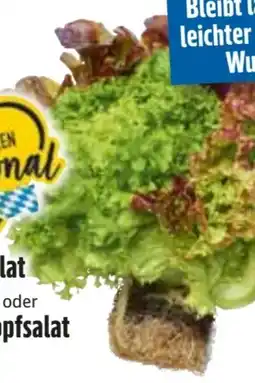 Edeka Ballensalat Trio Mix Angebot