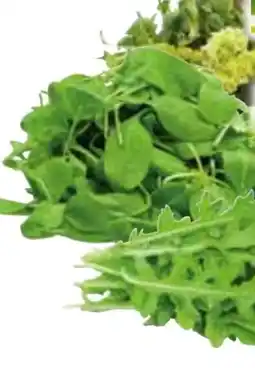 Edeka Edeka Bio Salate Angebot