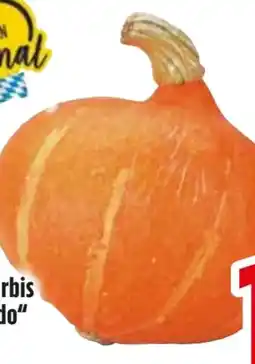 Edeka Speisekürbisse Hokkaido Angebot