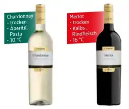 Edeka Cavit Pinot Grigio Angebot
