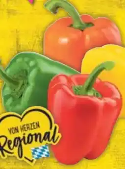 E-Center Paprika Angebot