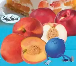 E-Center SanLucar Nektarinen Platerinas Angebot
