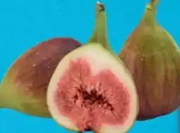 E-Center Feigen Angebot