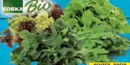 E-Center Edeka Bio Salate Angebot