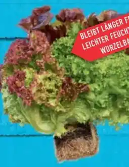 E-Center Ballensalat Trio Mix Angebot