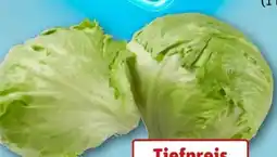 REWE Center Eisbergsalat Angebot