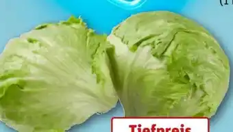 REWE Center Eisbergsalat Angebot