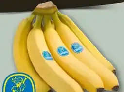 REWE Center Chiquita Bananen Angebot