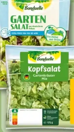 REWE Center Bonduelle Garten-Salat Angebot
