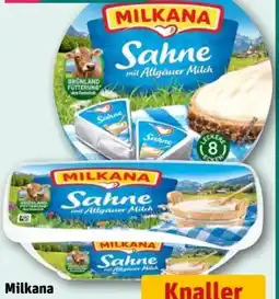 REWE Center Milkana Frischeschalen Angebot