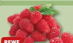 REWE Center Rewe Beste Wahl Frische Himbeeren Angebot