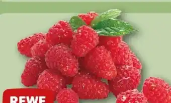 REWE Center Rewe Beste Wahl Frische Himbeeren Angebot