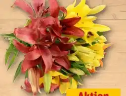 REWE Center Schnittblumen Asiatische Lilien Angebot