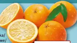 REWE Center Orangen Angebot
