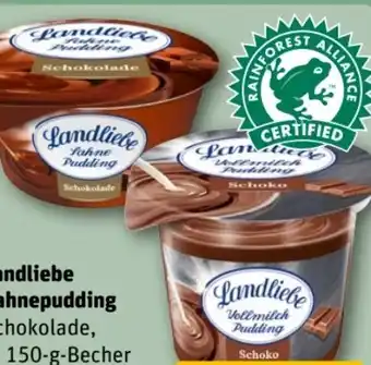 REWE Center Landliebe Sahnepudding Schokolade Angebot