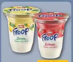 REWE Center Müller Froop Angebot