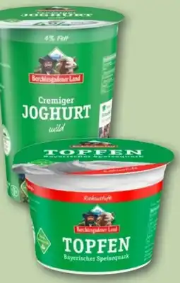 REWE Center Berchtesgadener Land Cremiger Joghurt Angebot