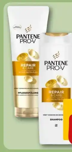 REWE Center Pantene Pro-V Spülung Angebot