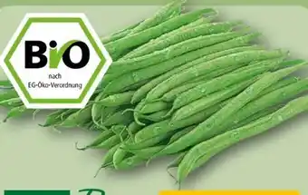 REWE Rewe Bio Buschbohnen Angebot