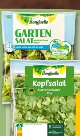 REWE Bonduelle Garten-Salat Angebot
