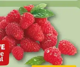 REWE Rewe Beste Wahl Frische Himbeeren Angebot