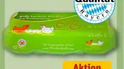 REWE Geflügelhof Ertl Eier Angebot