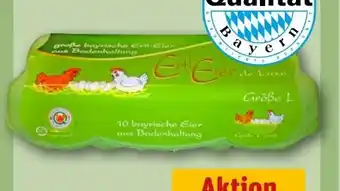 REWE Geflügelhof Ertl Eier Angebot