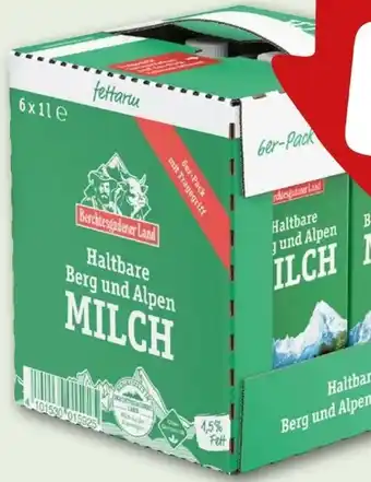 REWE Berchtesgadener Land Milch Angebot