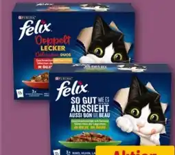REWE Purina Felix Katzennahrung Angebot